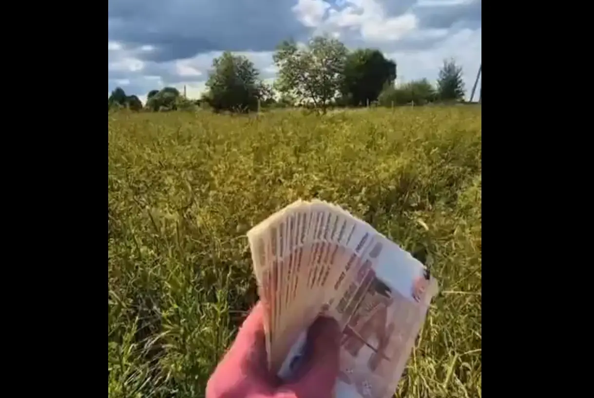 Сколько можно заработать на покосе травы