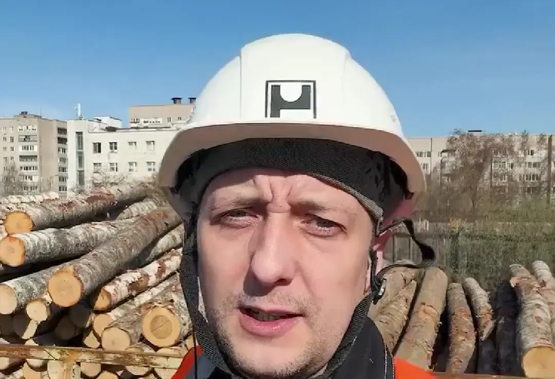 Как делают фанеру⁠⁠