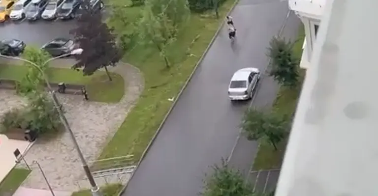 Выходные удались