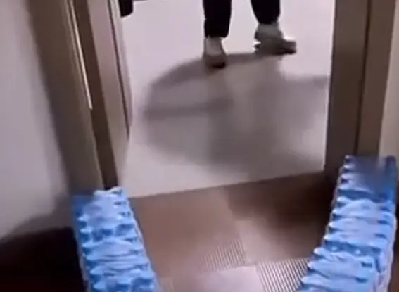 Хитрый план