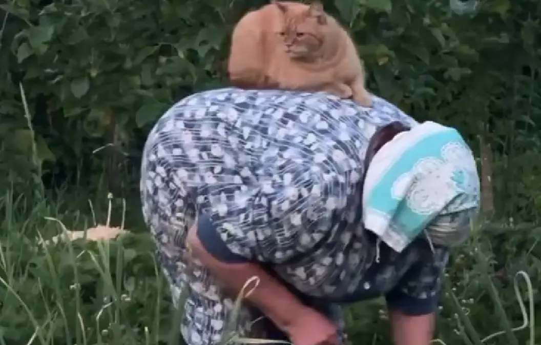 Контроль качества