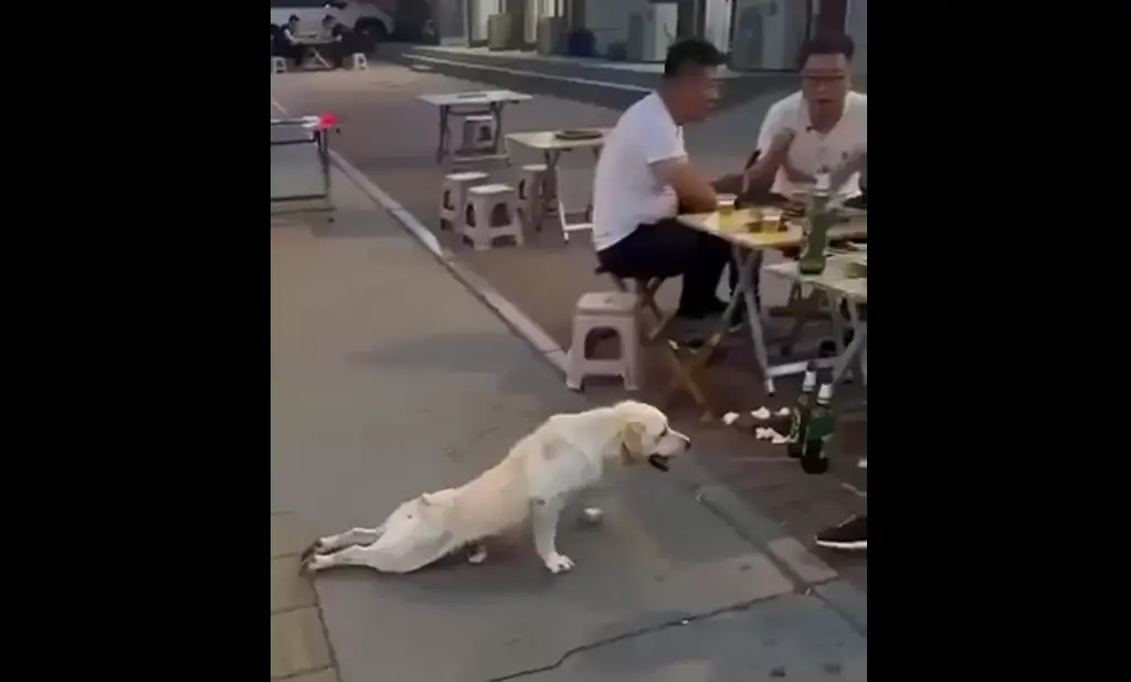 Артист⁠⁠