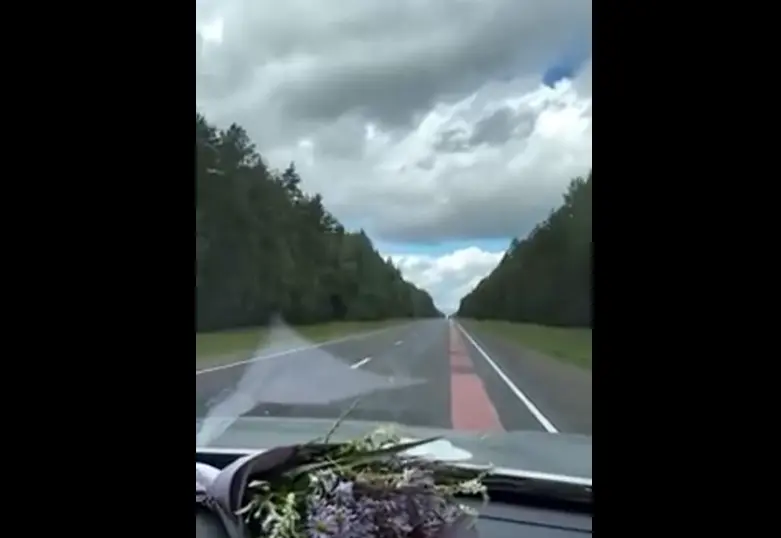 Поющая дорога