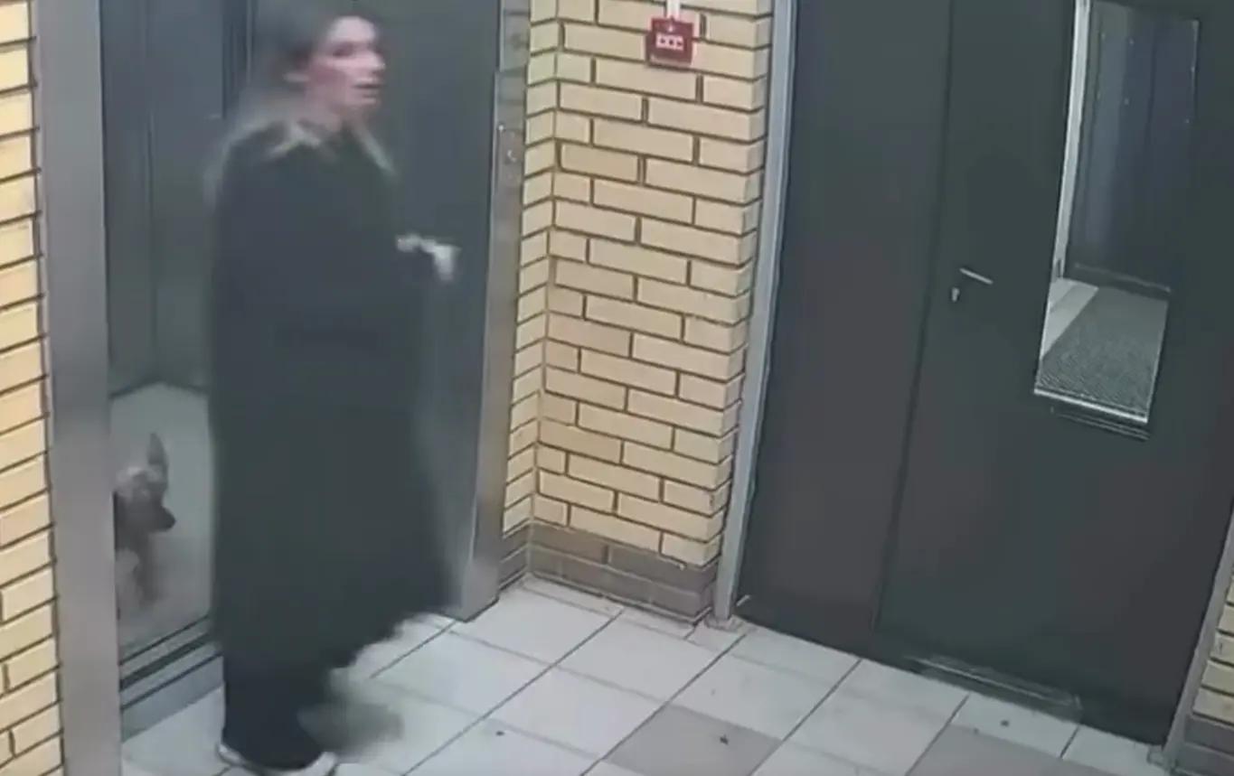 Без поклона не идет⁠⁠