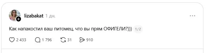 У людей спросили какую дичь вытворяли их питомцы