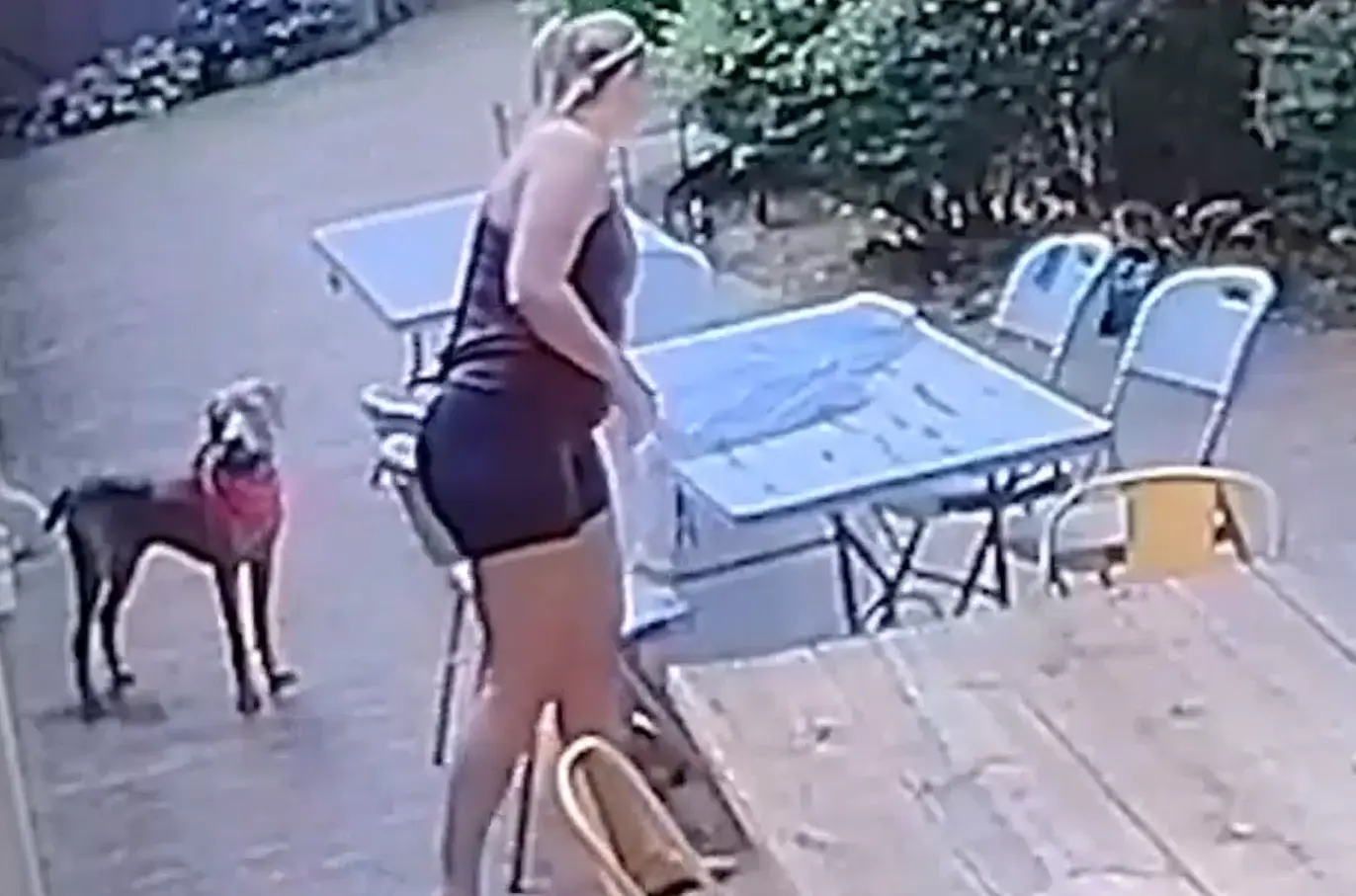 Терпеливый⁠⁠