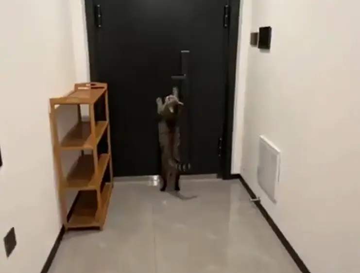 Что хотел, то и получил)