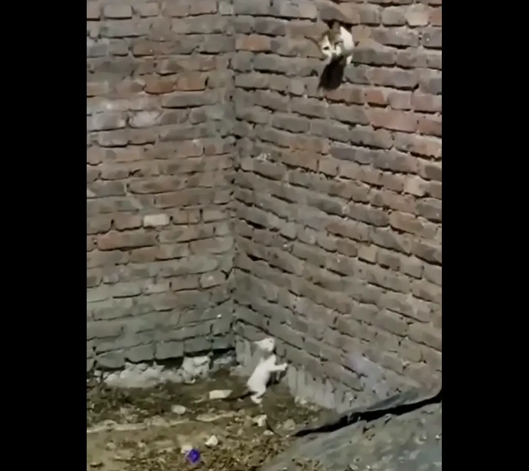 Мама в беде не бросит⁠⁠