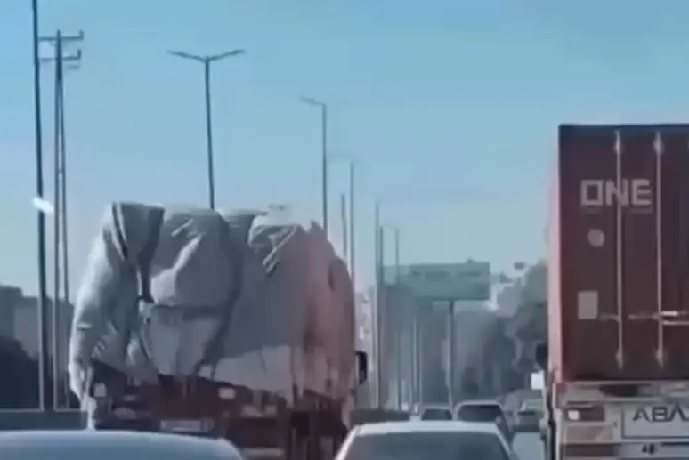 Красавчик, не растерялся!