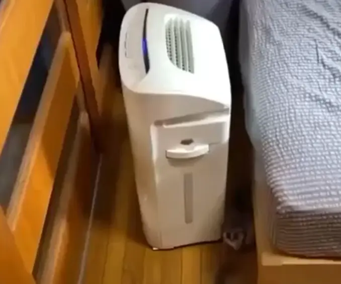 Прыгающий мимиметр⁠⁠
