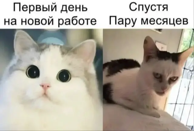 Смешные картинки