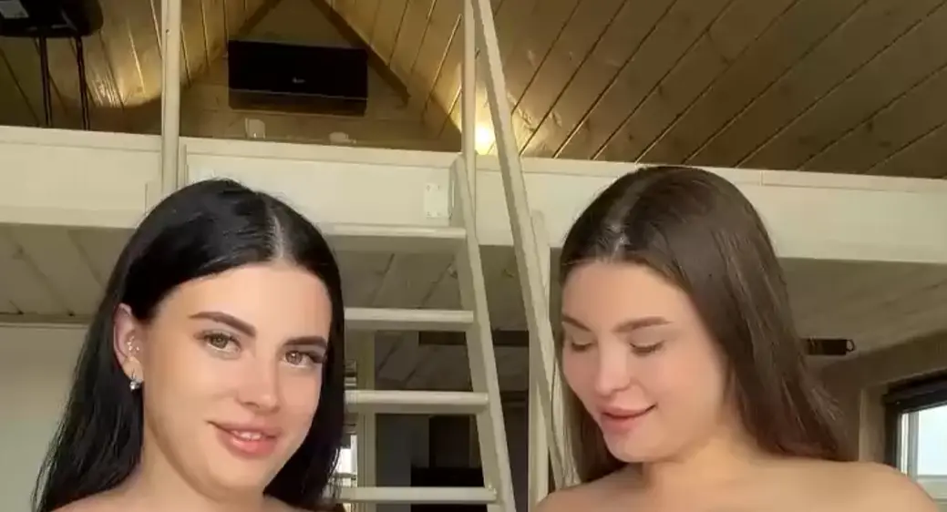 Устроили бой