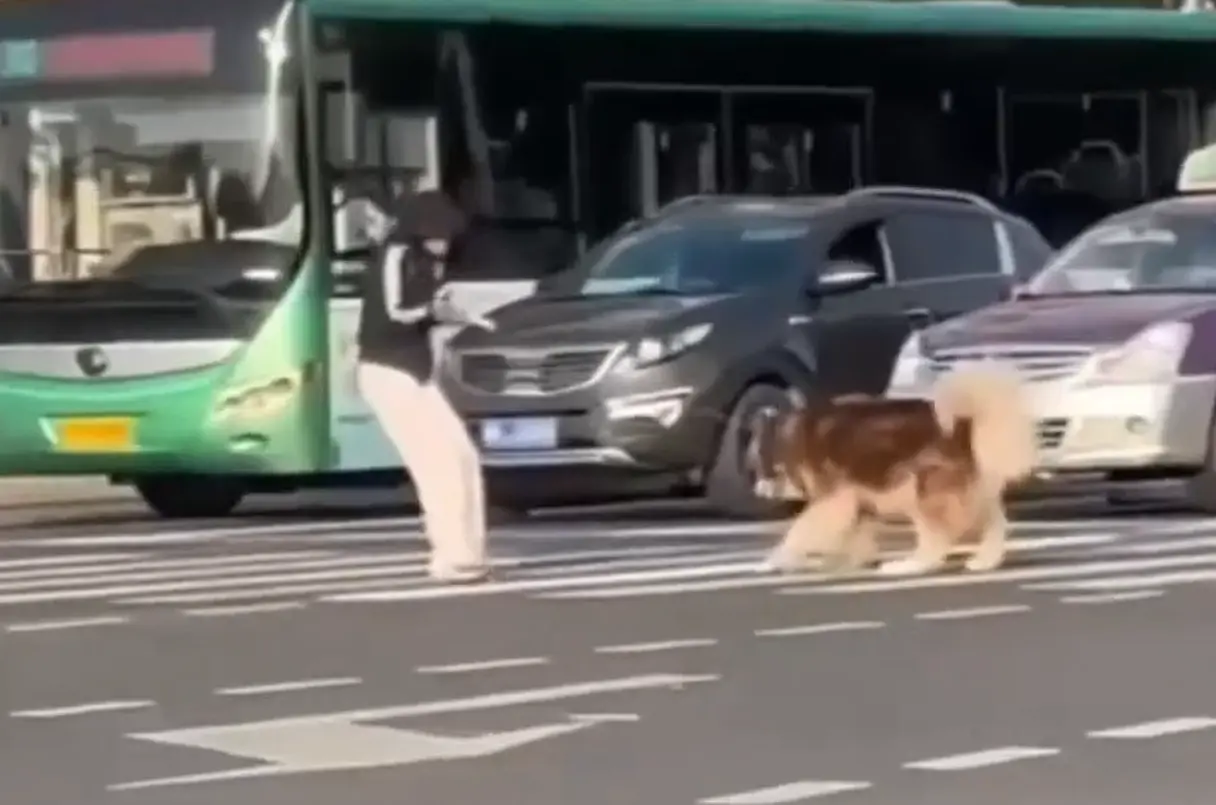 Хозяин, нам туда не нужно...⁠⁠