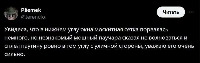 Пауки - полезные насекомые