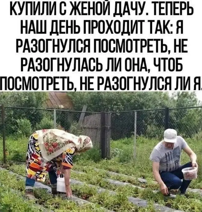 Смешные картинки