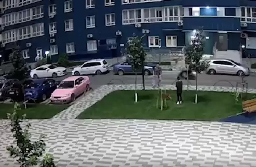 В Краснодаре житель многоэтажки ударил соседку мусорным пакетом во время выгула пса