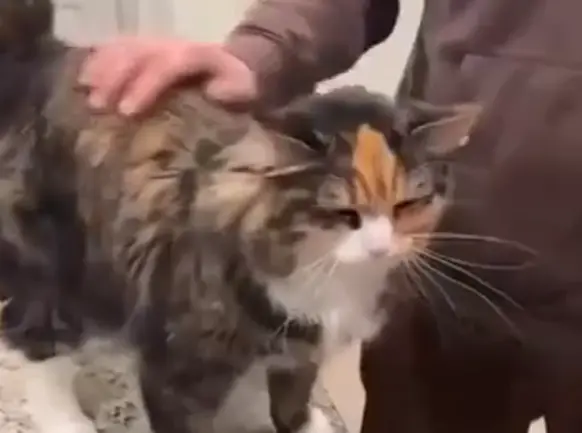 Еййййй назад⁠⁠