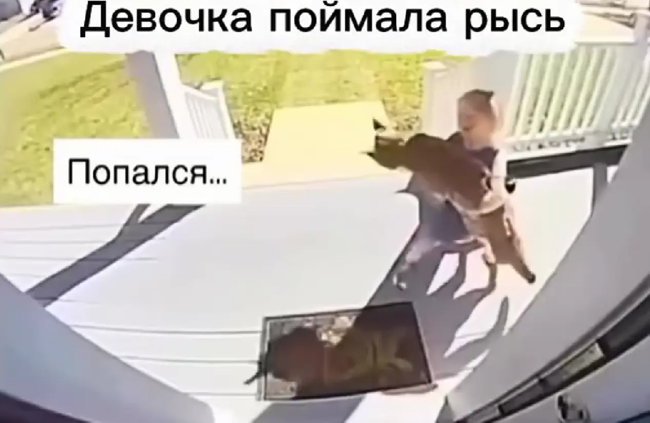 Охота пошла не по плану