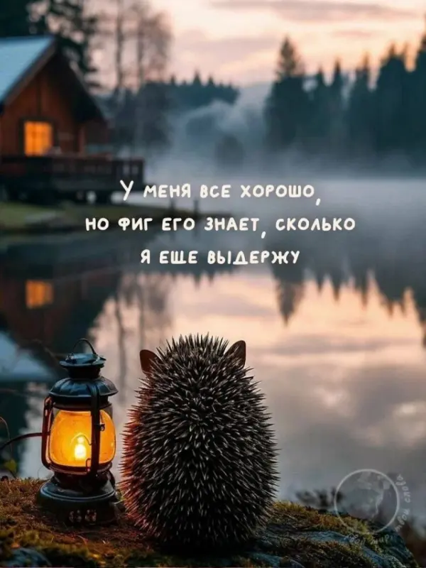 А он в этот момент думает....