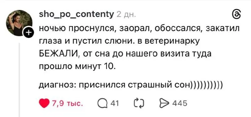 Ветка для тревожных хозяев⁠⁠