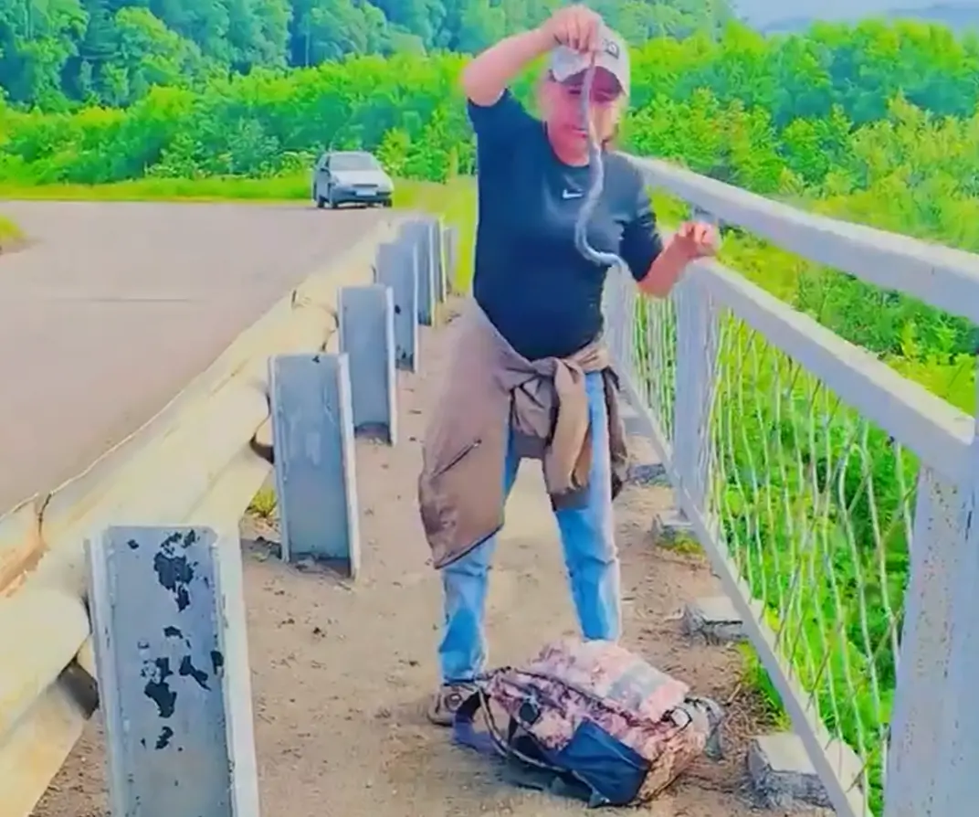 В голове её опилки