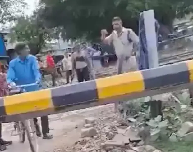 Получай леща