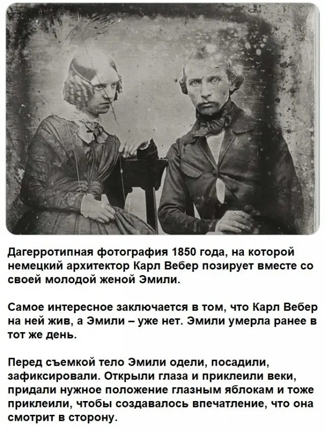 Как живая