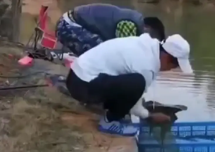 Покушали рыбки...