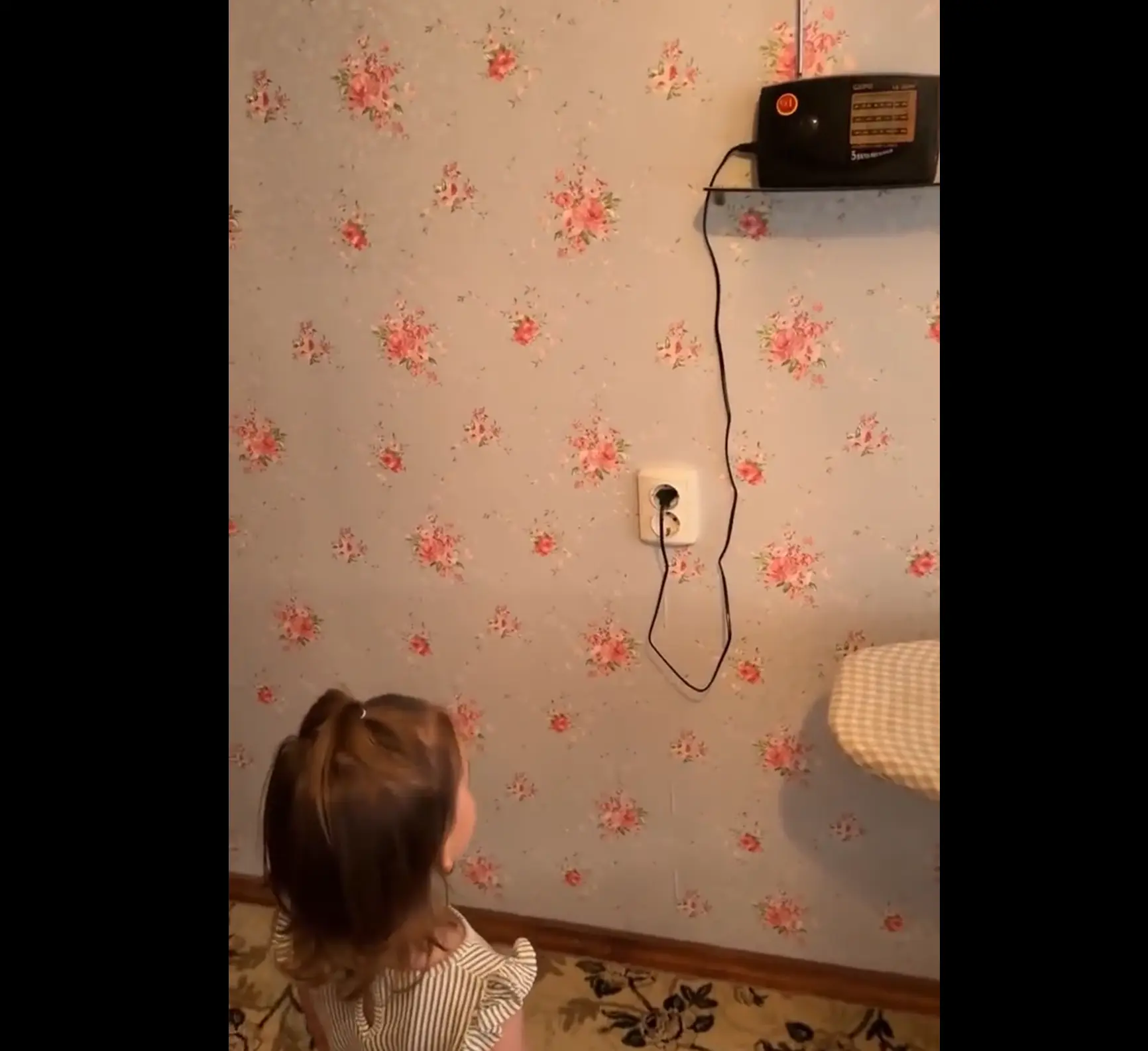 Предок Алисы