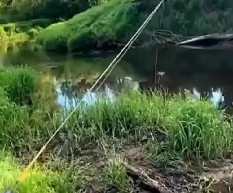 Пришëл голавля половить на жука, но есть нюанс