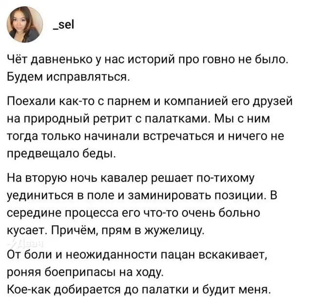 Именно ради таких историй вы и платите за интернет