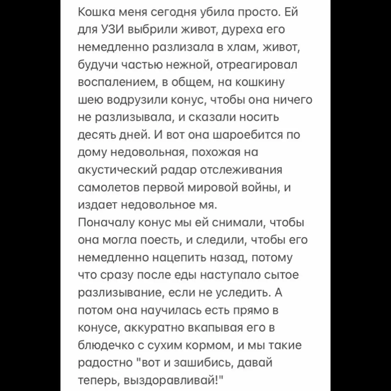 А до спальни кошка шла на задних лапах, чтобы из конуса всё не высыпалось