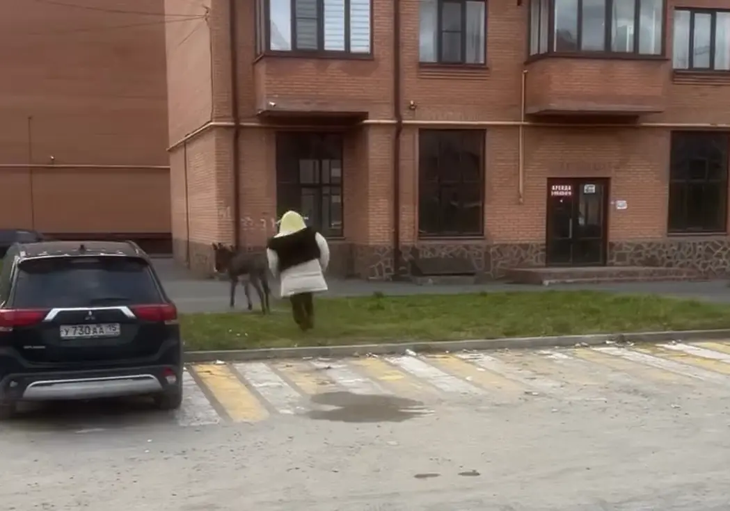 Вероятность встретить Шрека, гоняющегося за Ослом во Владикавказе, никогда не равна нулю⁠⁠