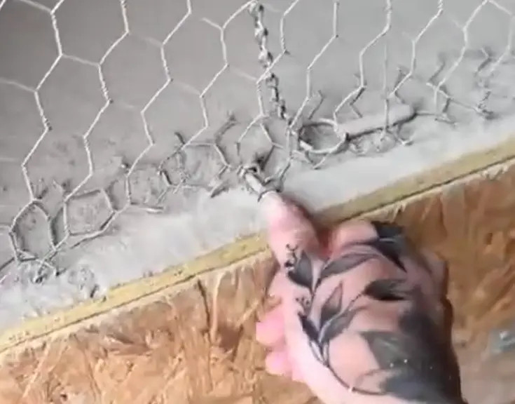 Наседка