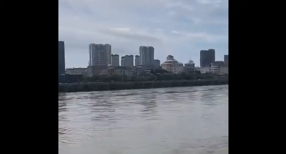 Уникальное спасение кошки с помощью дрона во время наводнения
