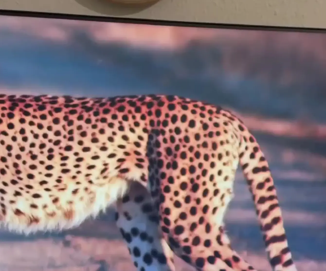 Это что за хищный зверь⁠⁠