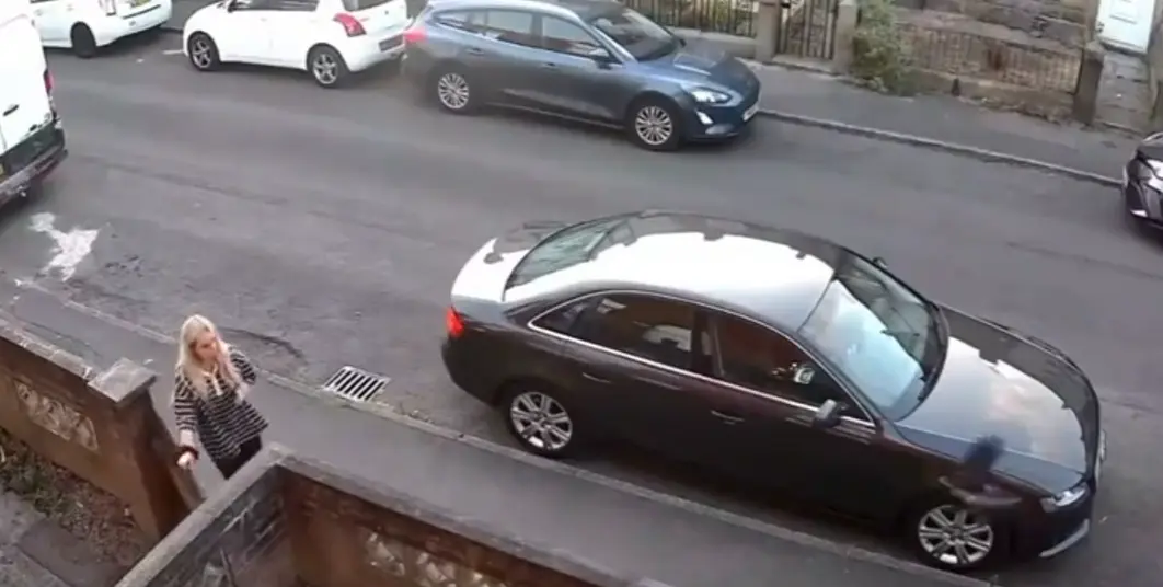 Ворона явно её ждала⁠⁠