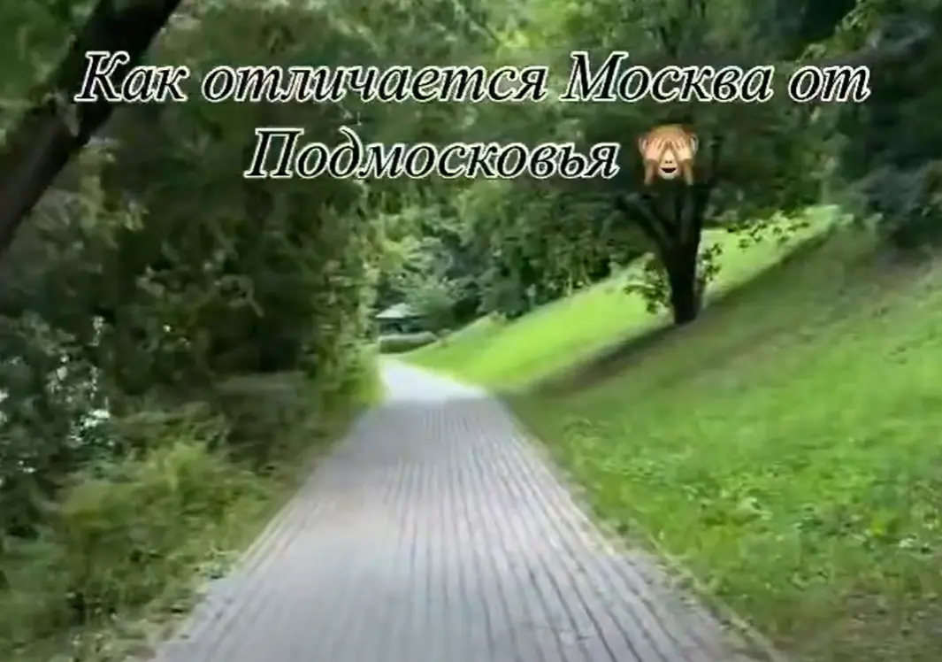Завистливая женщина из за МКАДа показала разницу между набережными реки Химка в Москве и Подмосковье