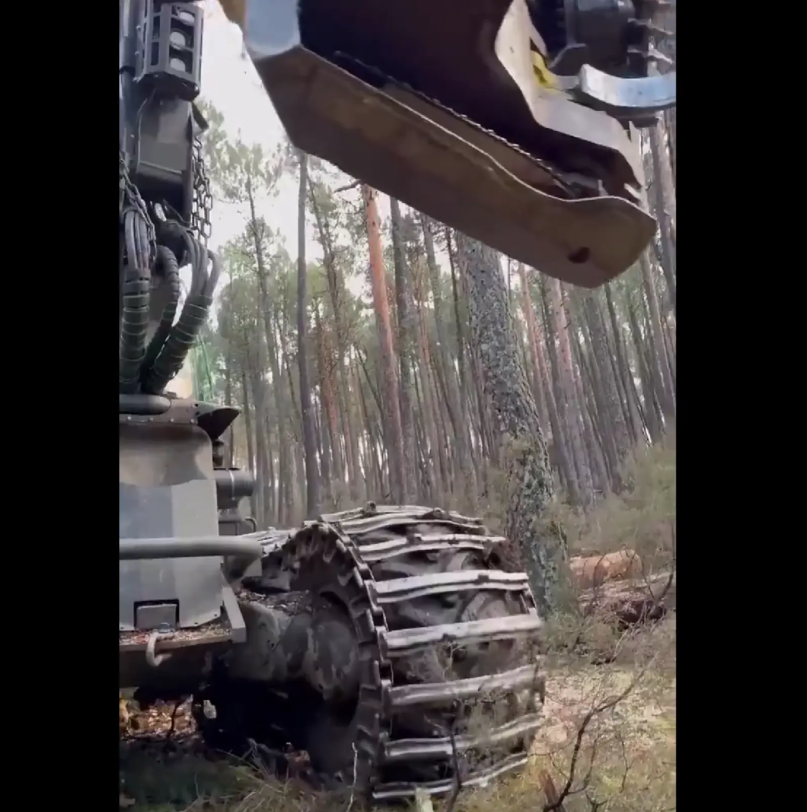 Раз, два, и готово