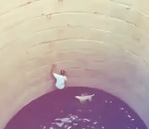 Спас пёселя