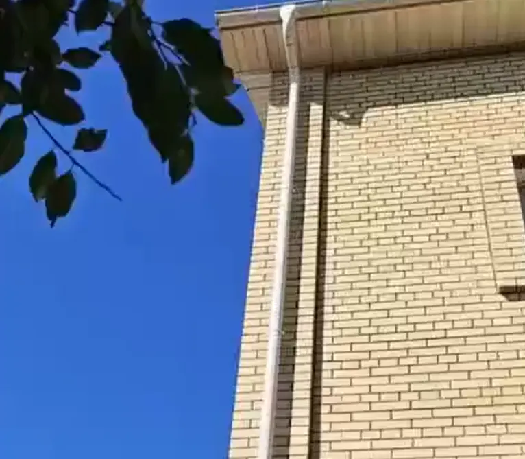 «Новая приколюха от наших соседей»
