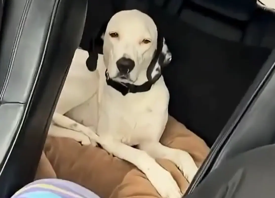 Я этого идиота не знаю...⁠⁠