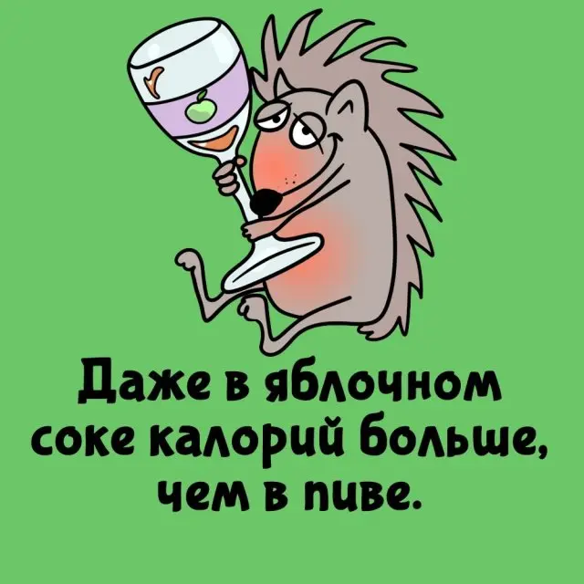 Интересные факты на всем случаи жизни