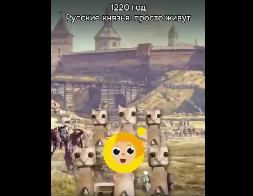 Котоистория
