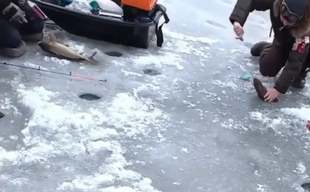 Сегодня, видимо, не его день