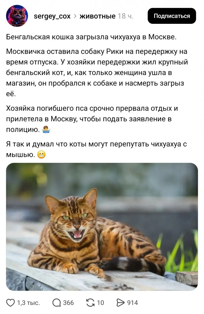 Неловко вышло⁠⁠