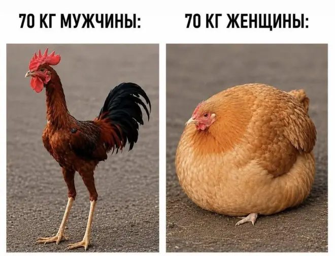 Смешные картинки