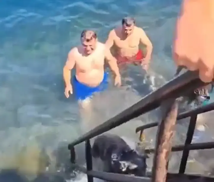 Собакену весело⁠⁠