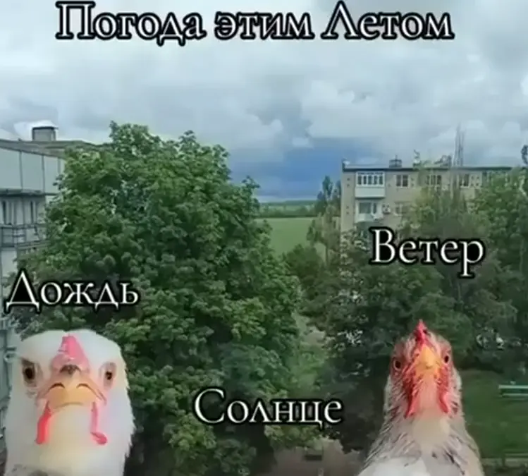 Погода нынче не балует⁠⁠