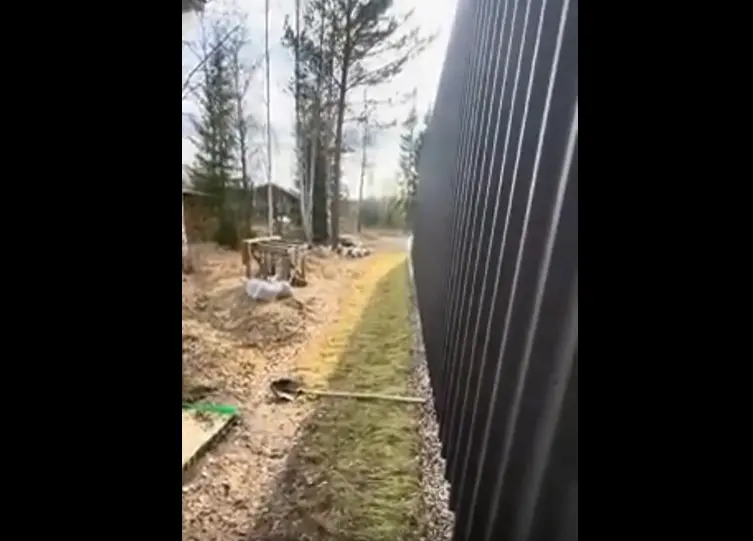 СДВГ наглядно